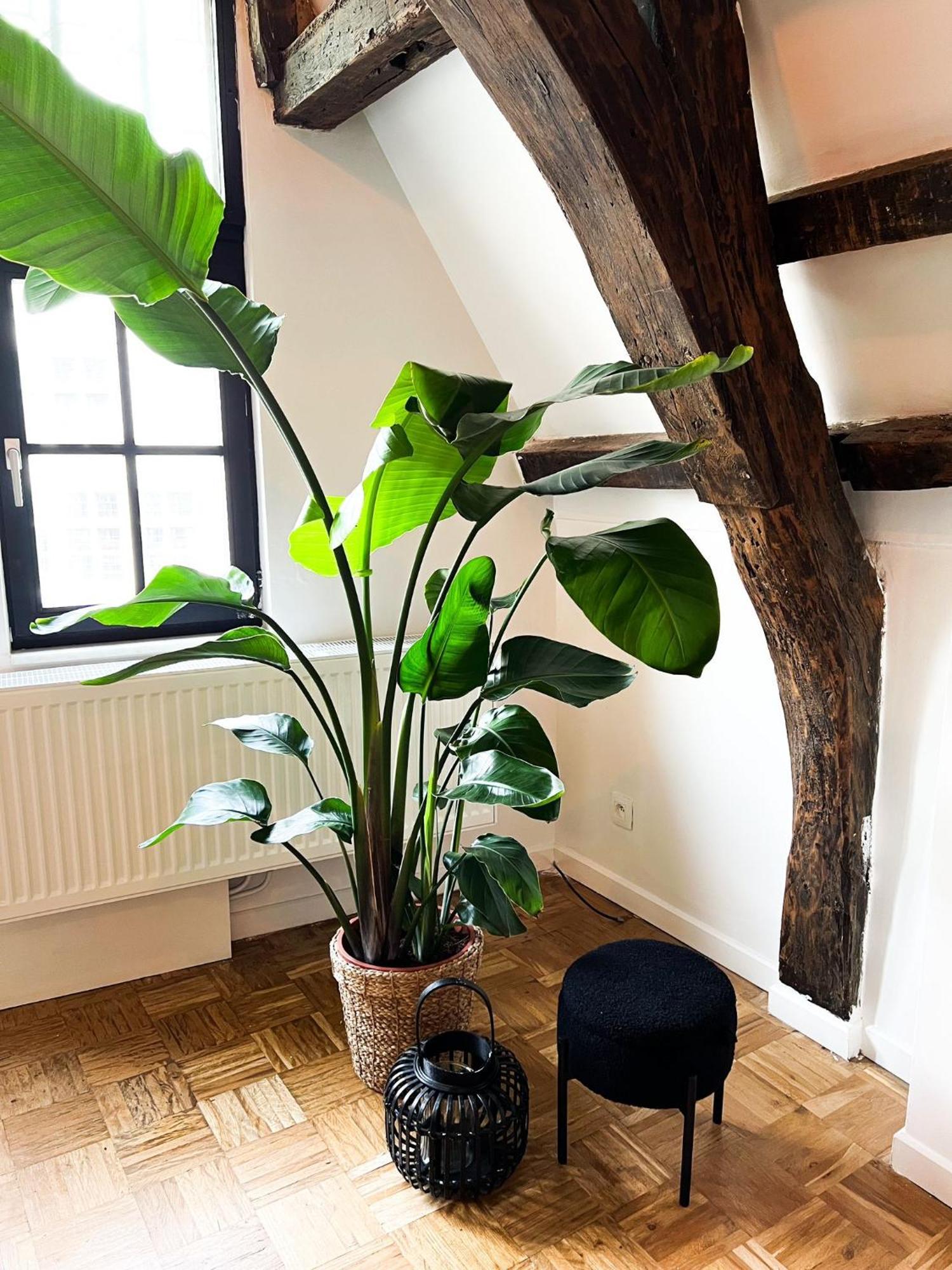 Nammos Home'S Anversa Esterno foto
